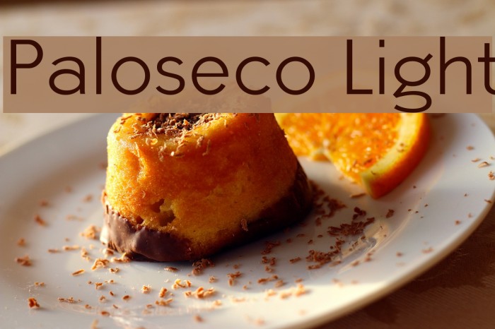 Paloseco Light Font examples