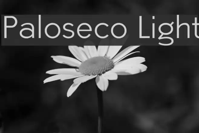 Paloseco Light  examples