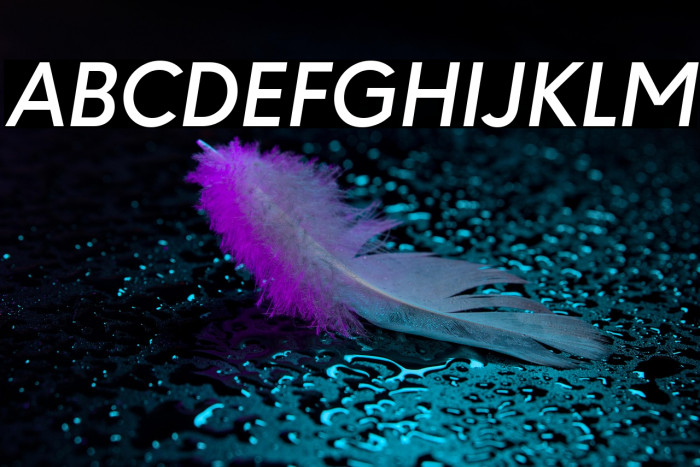 Paloseco Medium Italic Example 3