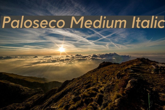 Paloseco Medium Italic Font examples