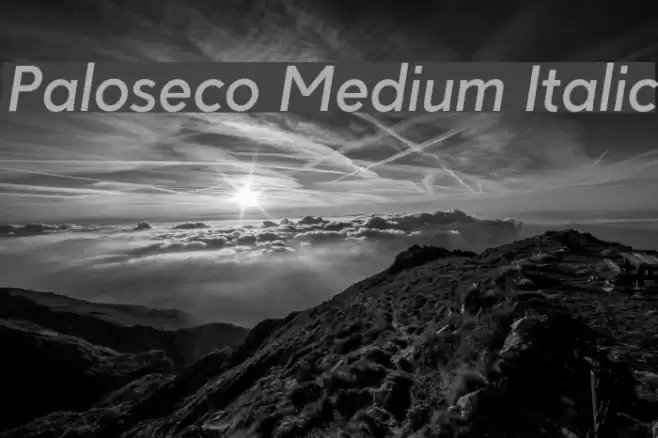 Paloseco Medium Italic examples