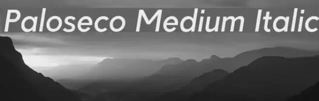 Paloseco Medium Italic examples