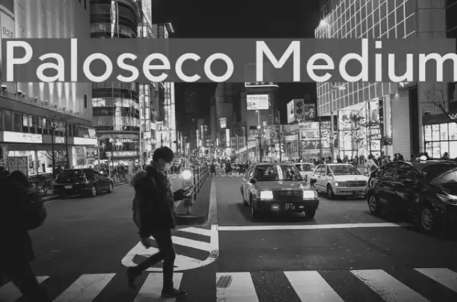 Paloseco Medium Font examples