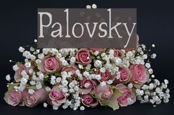 Palovsky Font examples