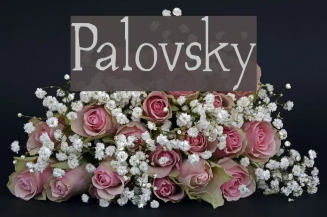 Palovsky Example 1
