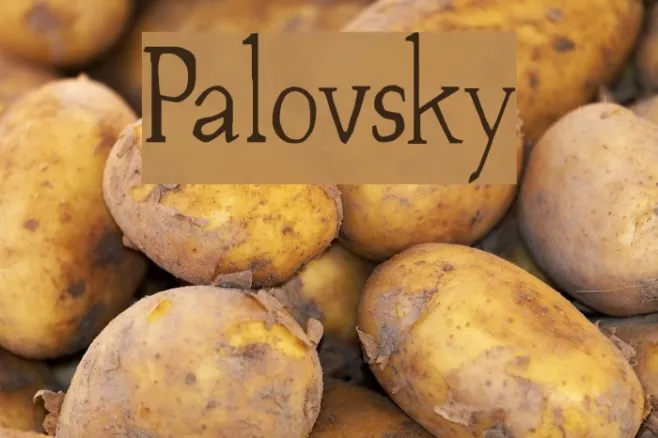 Palovsky Example 3
