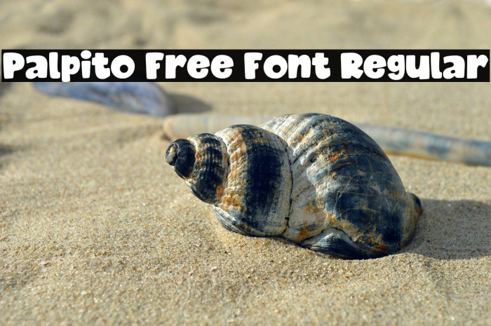 Palpito Free Font Regular Example 3