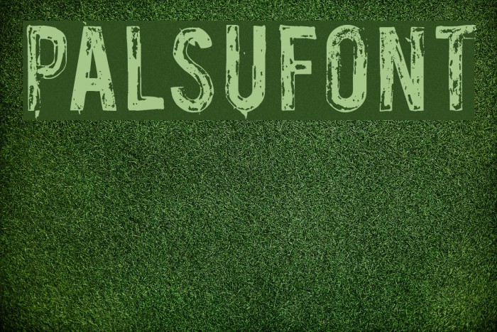 Palsu Font examples
