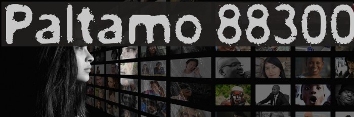 Paltamo 88300 Example 2