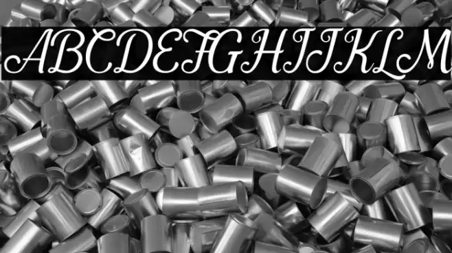 Pamega Script Font examples