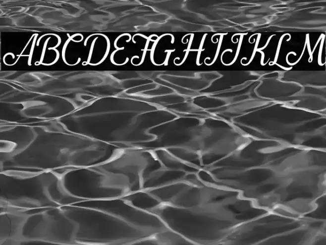 Pamega Script Font examples