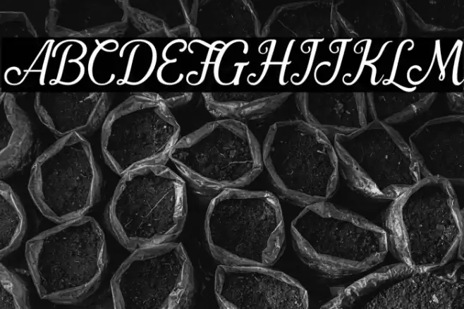 Pamega Script Font examples