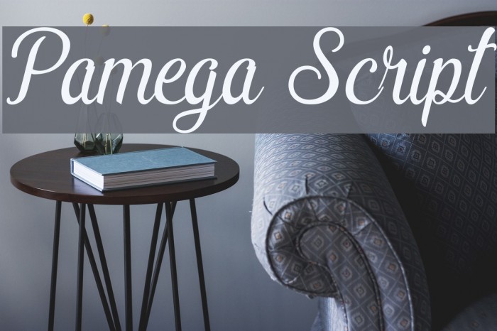 Pamega Script Font examples