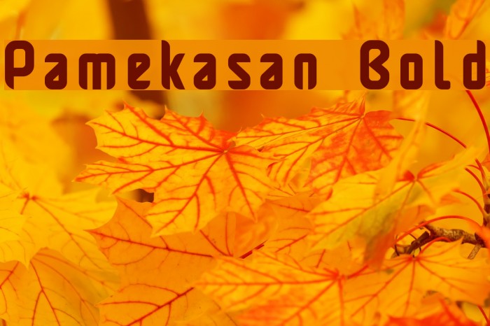 Pamekasan Bold Font examples