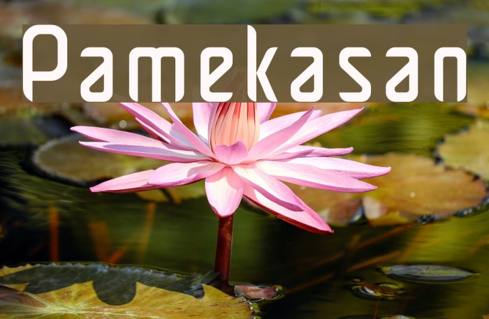 Pamekasan Font examples