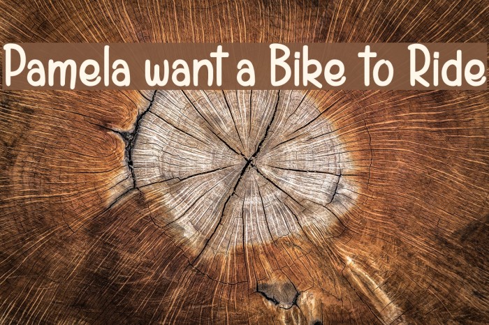 Pamela want a Bike to Ride Font examples