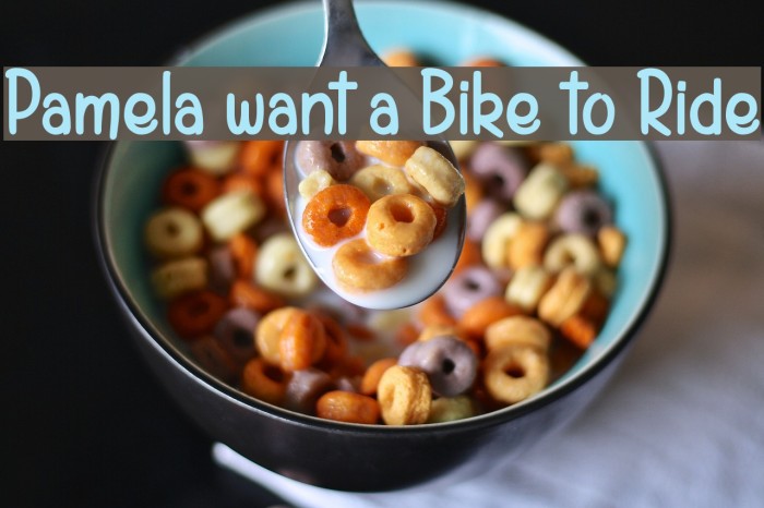 Pamela want a Bike to Ride Example 2