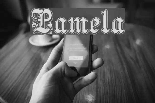 Pamela Font examples