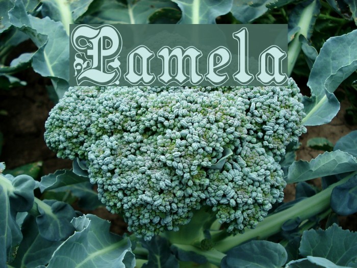 Pamela Font examples