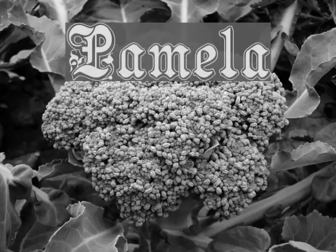 Pamela Font examples