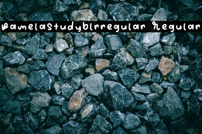 Pamelastudyblrregular Regular Example 3
