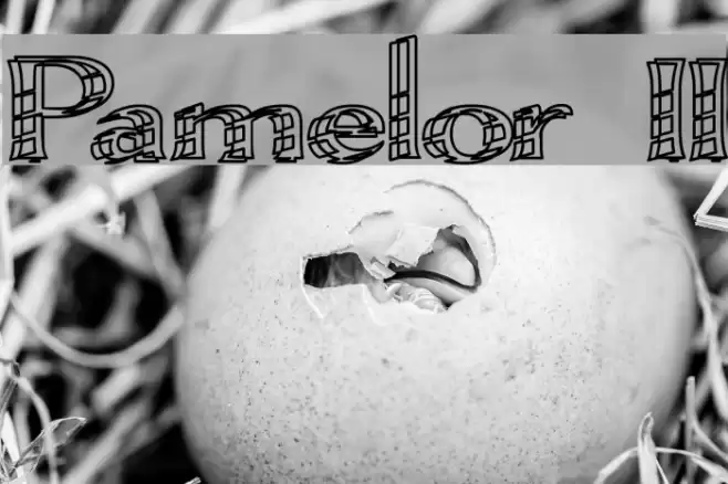 Pamelor II Font examples