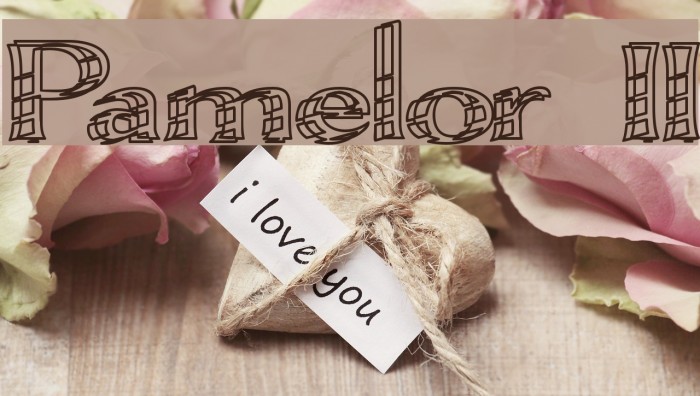 Pamelor II Font examples