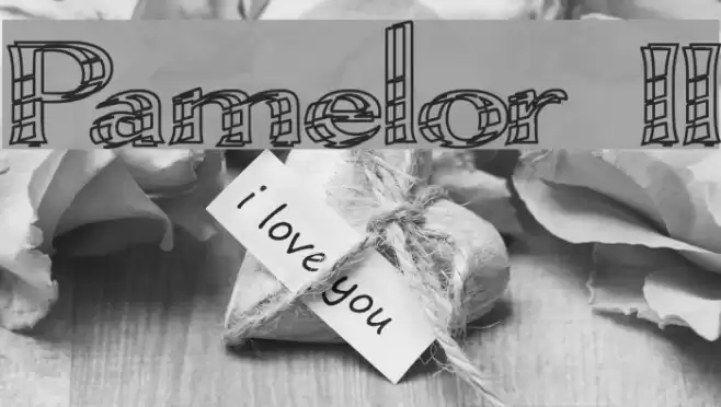 Pamelor II Font examples
