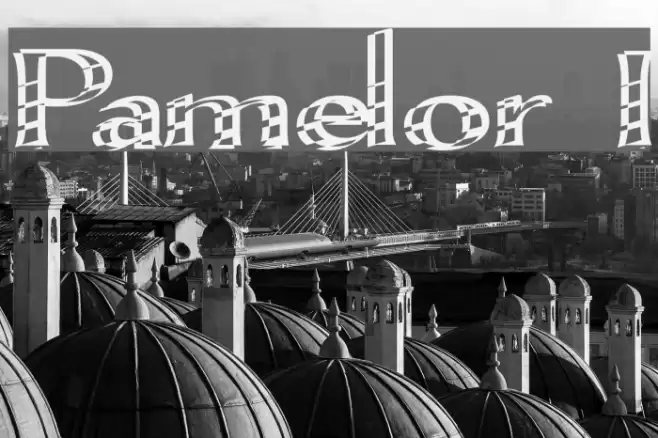 Pamelor I Font examples