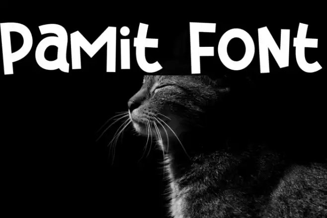 Pamit Font examples