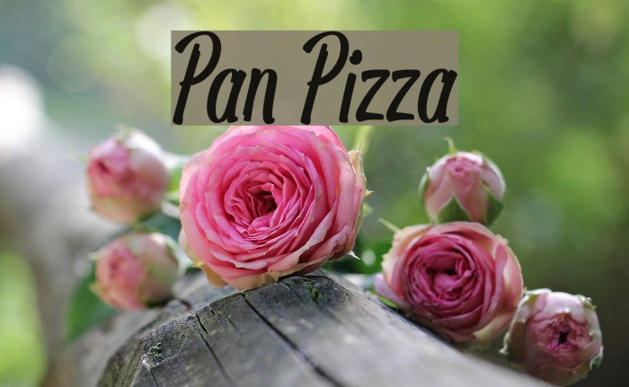 Pan Pizza Font examples