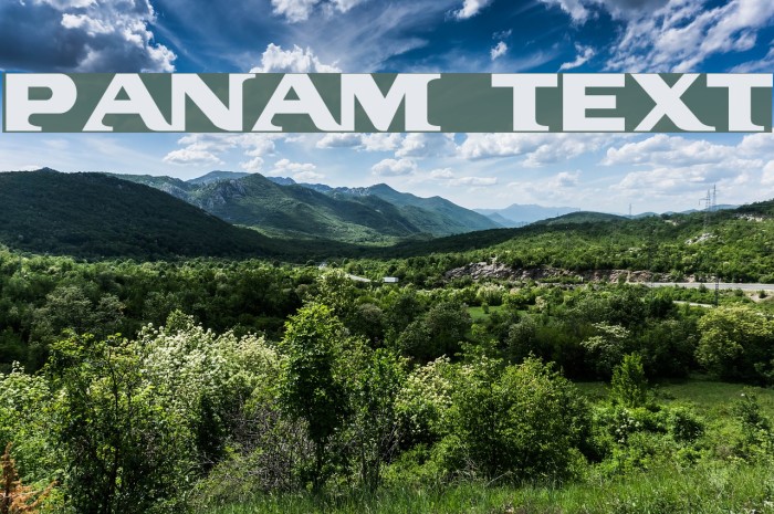 PanAm Text Font examples