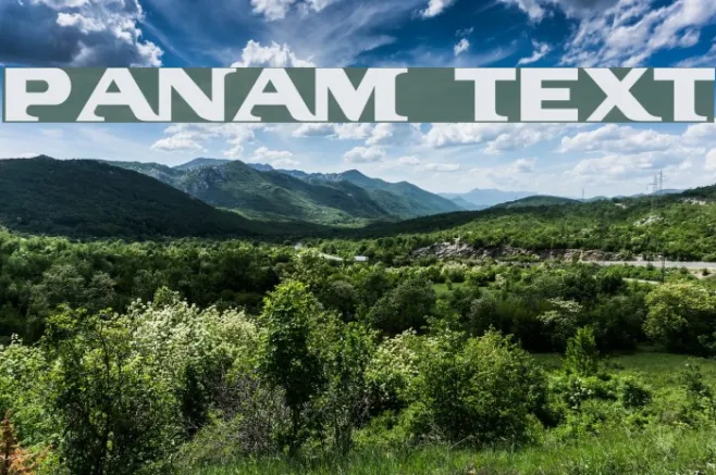 PanAm Text Example 1