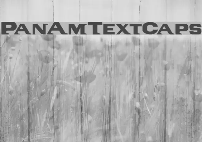 PanAmTextCaps Font examples