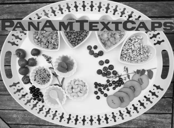 PanAmTextCaps Font examples