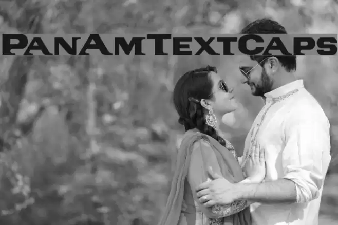 PanAmTextCaps Font examples