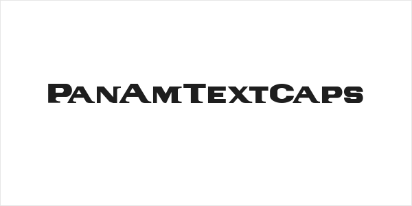 PanAmTextCaps Logo