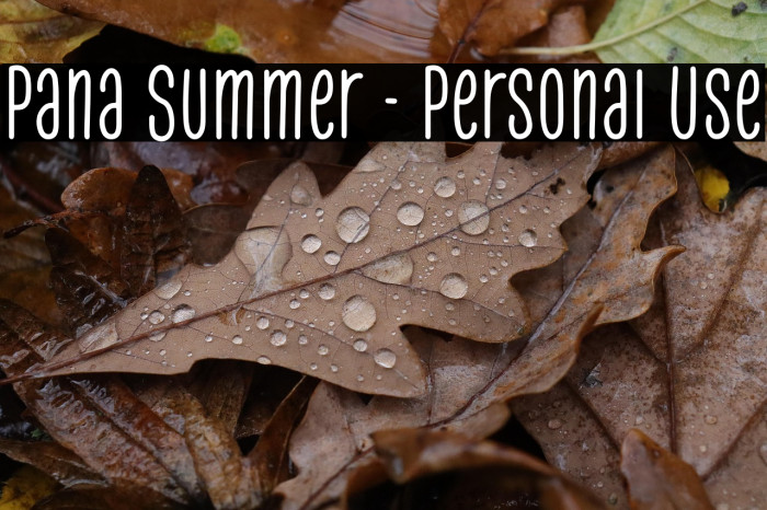 Pana Summer - Personal Use Example 2
