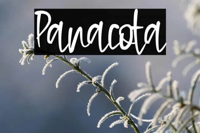 Panacota Example 1
