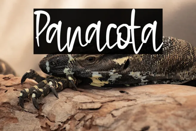 Panacota Example 2