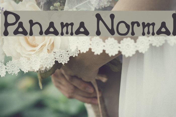 Panama Normal Font examples