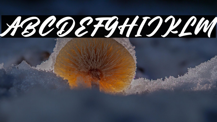 Panama Personal Use Example 2