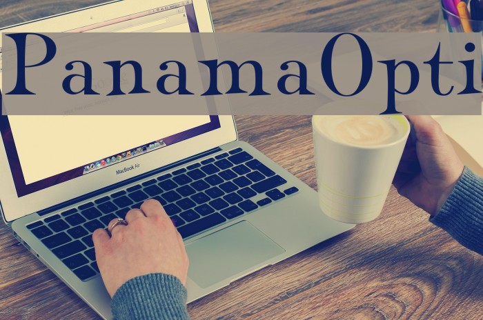 PanamaOpti Example 1