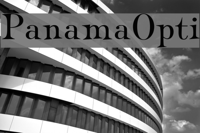 PanamaOpti Example 2