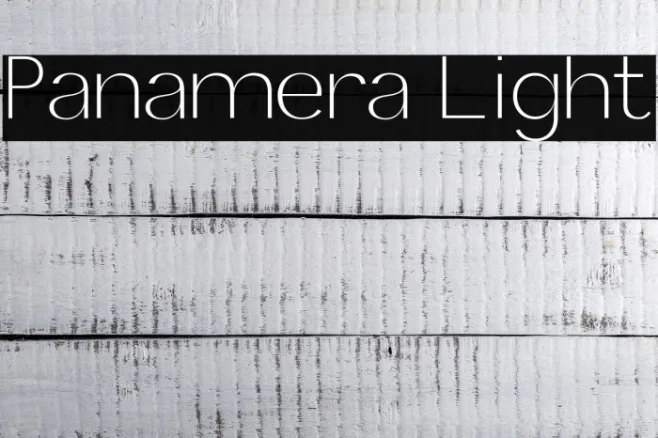 Panamera Light Example 1