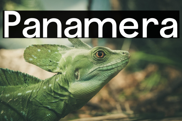 Panamera Font examples