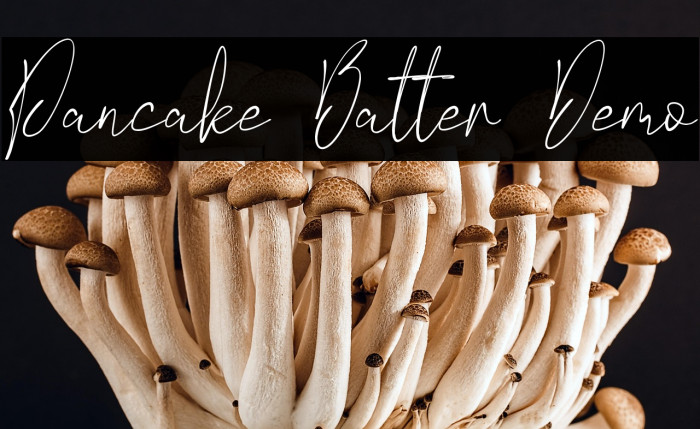 Pancake Batter Demo Example 1