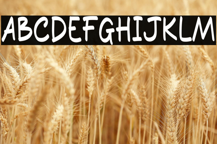 Pancake Jam Example 1