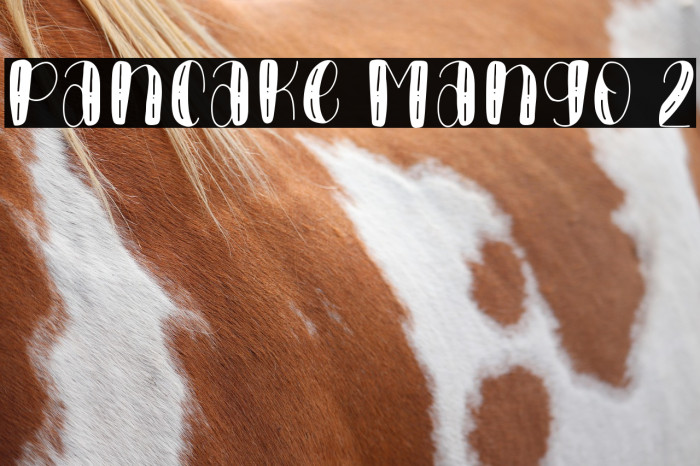 Pancake Mango 2 Example 2