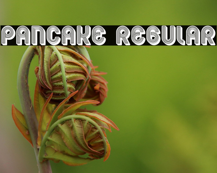 Pancake Regular Font examples